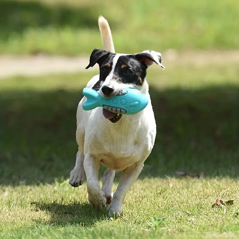 Durable Squeaky Shark Dog Toy | For aggressive chewers and dental health DooWoo