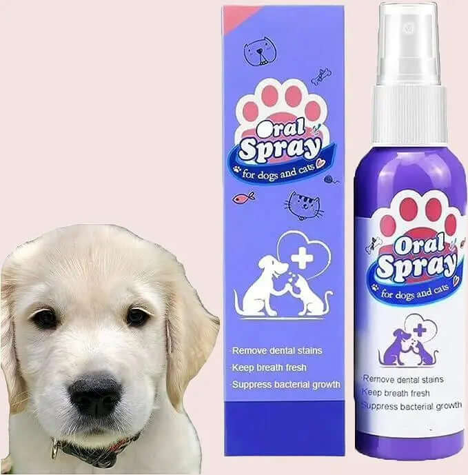 Oral Spray For Dogs Cats